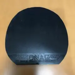 STIGA DNA DRAGON POWER ブラック