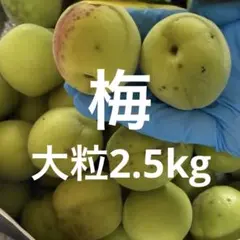 梅2.5kg大きい粒のサムネイル