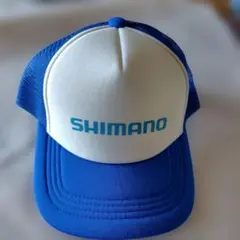 Item thumbnail for item 82ff3b54-9ed9-409f-a4c8-2b8c8034f419