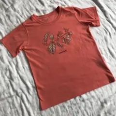 mont-bell Tシャツ XS WIC.T コーラルピンク いろんな木の実