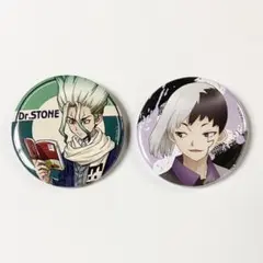 Dr.STONE 石神千空 あさぎりゲン マルイ 冬の待ち合わせ 缶バッジ 2点