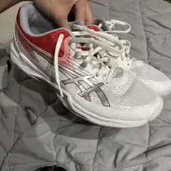 28 센티미터 (웃음
