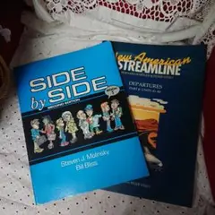 SIDEbySIDESECOND STREAMLINE partB41-80