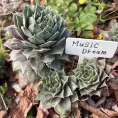 りんれん様 リクエスト 8点 まとめ商品