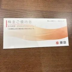 東急グループ　株主優待　冊子　東急ストア