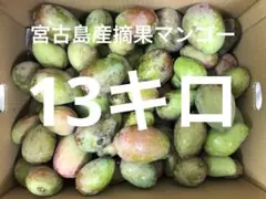 宮崎県産 摘果マンゴー グリーンマンゴー 12kg - メルカリ