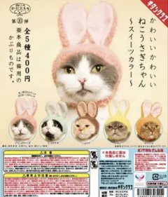 Item thumbnail for item cab420e0-e5df-4a57-9953-5b97ec88dfae