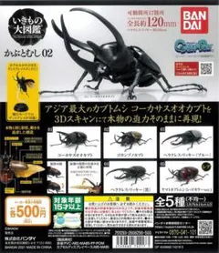 カブトムシ カプセルトイ