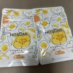HOSOMI 食事活用サポート 高麗人参×茶花×HMB