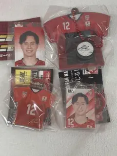 バレーボール日本代表 めじるしチャーム ユニフォーム ミニフォト 高橋藍選手