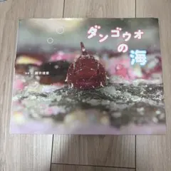 ダンゴウオの海 写真・文 鍵井靖章