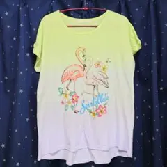 ★a.r.r.o.w アロー　フラミンゴ グラデーション　Tシャツ★のサムネイル