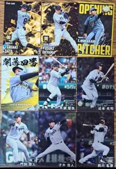 カルビー野球カード 「チートイ様」専用 jambalaya_25cp-2-s45p