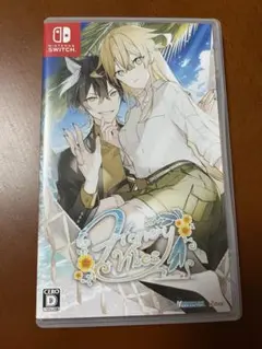 Nintendo Switch ハニーヴァイブス ソフト 通常版