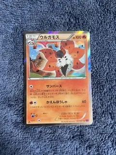 ウルガモス 017/081 24時間以内発送 引退品
