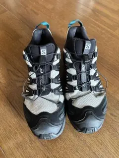 Item thumbnail for item 5ec12250-f402-4b98-91c1-b5c24f9654f7