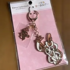 2025年最新】メタルチャーム イーブイの人気アイテム - メルカリ