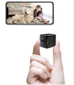 Item thumbnail for item 8a746561-3374-4521-a320-8eb9b48d2747