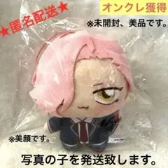 【オンクレ獲得、美品】SK∞ エスケーエイト ちょぴぬい2 桜屋敷薫