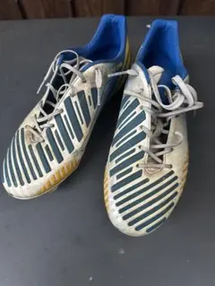 Item thumbnail for item 01108a70-6a2b-448f-849c-6379d872a9da