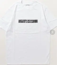 【レア】カルバンクライン　ナローボックスロゴ　tシャツ　シルバー