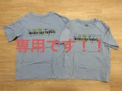 Item thumbnail for item 0b24babd-fde4-43a5-bc38-e4a7285fbf7d