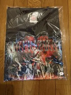 ウルトラマンブレーザー 円谷ストア EXPO フリーサイズ ビックTシャツ