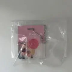 ズートピア　ブリスターチャームコレクション