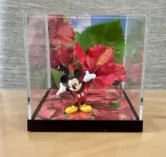 ディズニーキャラクターズ ジオラマシリーズ ミッキー&ハイビスカス