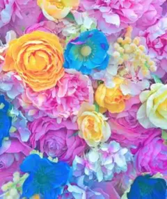 新品タグ付きグリーンレーベル　アミジドッキングプルオーバー