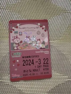 2025年最新】ディズニーリゾートラインフリー切符の人気アイテム