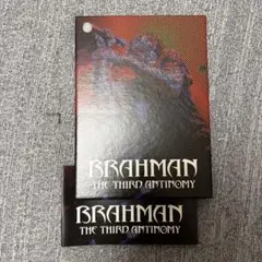 ダイバー様 リクエスト 2点 まとめ商品