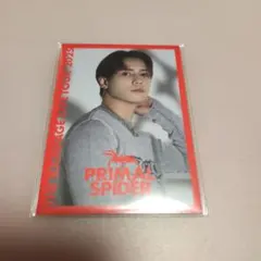 THE RAMPAGE　ーフォトカード　PRIMAL SPIDER　神谷健太ー