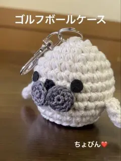 ゴルフボールケース、ゴルフ、ゴルフボール入れ、ゴルフボールホルダー