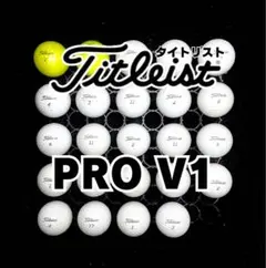 3※タイトリスト PRO V1 ロストボール24球