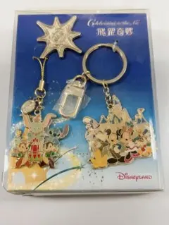 【新品未使用】香港ディズニーランド 5周年限定 ストラップ＆キーホルダーセット