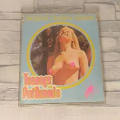 【廃盤】暴力温泉芸者 ティーンエイジ・ペット・サウンズ 帯あり