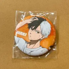 桜遥グッズセット