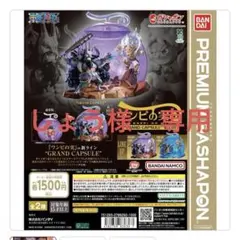 専用ワンピの実　グランドカプセル Vol.01 ノーマルカラーバージョン