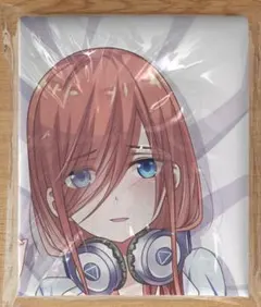 井上和香/PVC抱き枕/空気ビニール/エアクッション/160cm×50cm おのののか/PVC抱き枕/空気ビニール/エアクッション/160cm×50cm