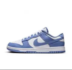 Nike Dunk Low Retro 