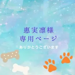 惠実凛様 リクエスト 5点 まとめ商品