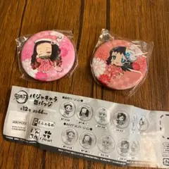 鬼滅の刃　パジャキャラ缶バッジ