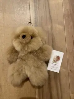 テディベア