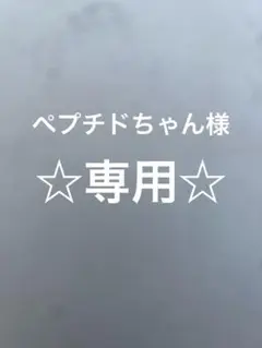 アダプトラテ　AdaptoLatte 【新品未開封品】 Amazon.co.jp: アダプトラテ AdaptoLatte 2袋セット : 食品