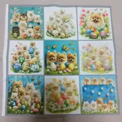 one-one様専用 ハンカチ ポメラニアンちゃん柄 2/5 2枚 - メルカリ
