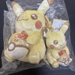30周年記念 ピカチュウ マスコット&ぬいぐるみセット