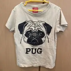 OJICO PUG イラスト Tシャツ 6A