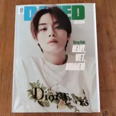 スキズ　雑誌　リノ