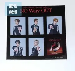 匿名配送　フォトステッカーシート　大阪　wayv 威神v　osaka 会場限定